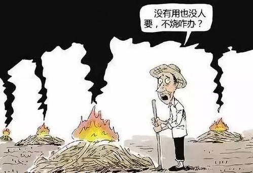 農(nóng)民焚燒秸稈